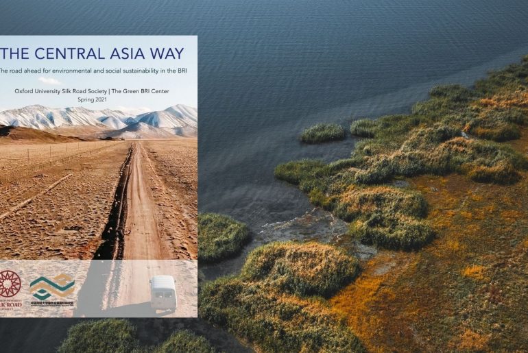 the central asia way report