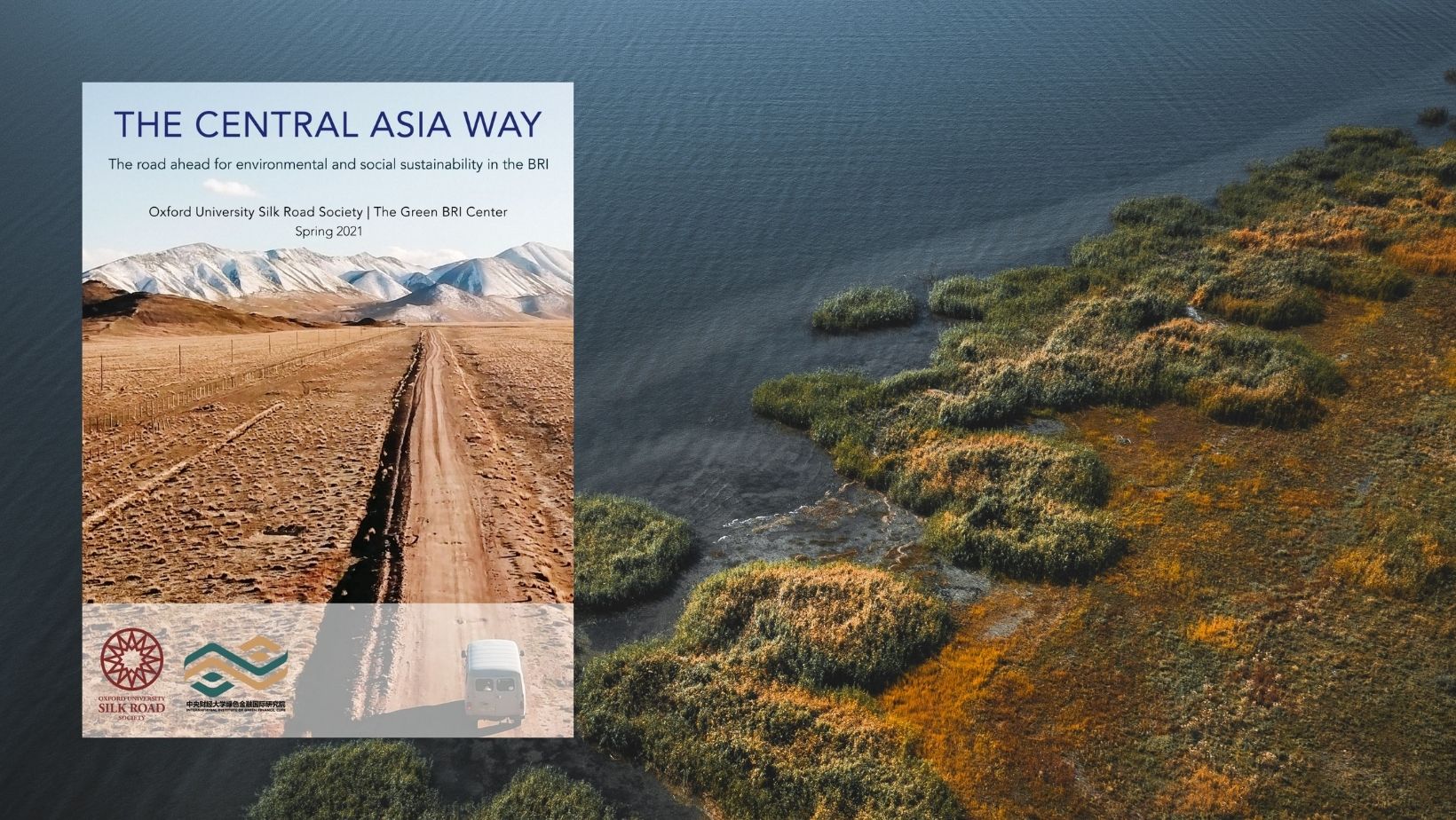 the central asia way report