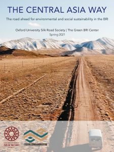 the central asia way report