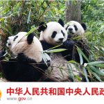 Biodiversity Opinions China