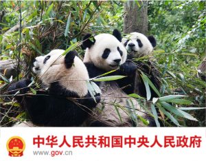Biodiversity Opinions China