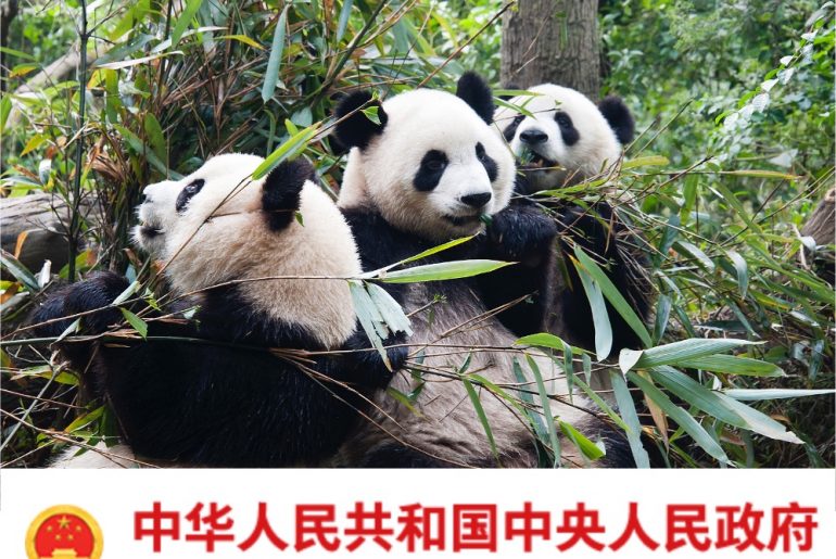 Biodiversity Opinions China