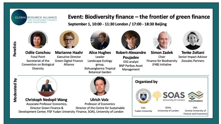 GRASFI biodiversity finance panel