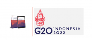 G20 title CSWG