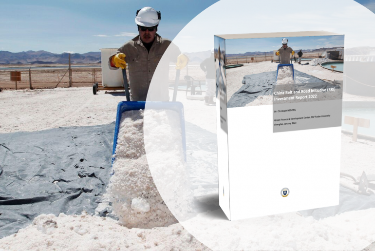 Nedopil 2023 BRI investment report 2022 cover