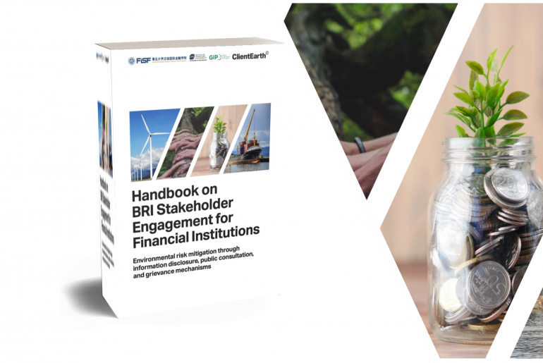 Yue Nedopil Cheng Fan 2023 Stakeholder Inclusion BRI Financial Institutions Environment