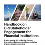 Yue Nedopil Cheng Fan 2023 Stakeholder Inclusion BRI Financial Institutions Environment
