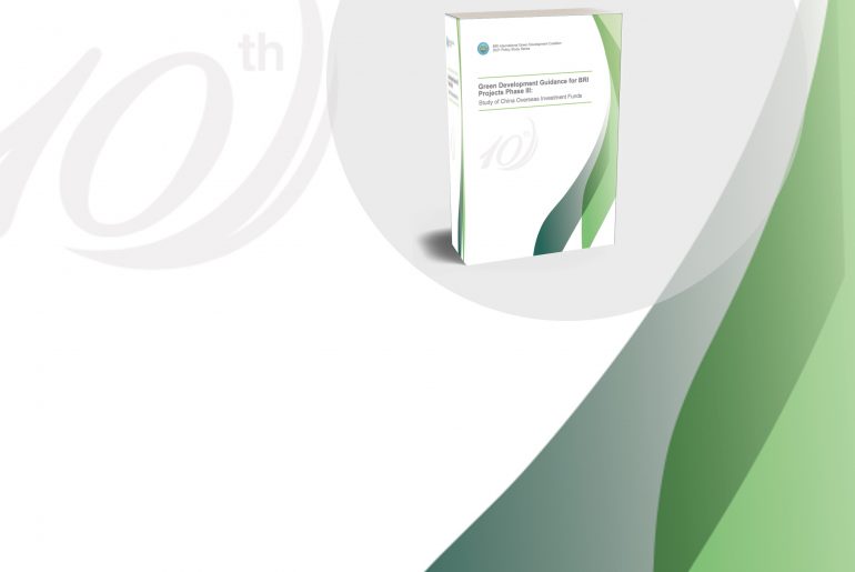 BRIGC 2023 Phase 3 Green Development Guidance Cover banner