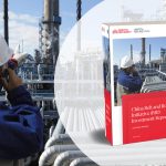 Nedopil 2025 BRI investment report 2024 banner