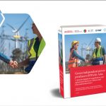 Nedopil et al (2025) Green IPP Guidance Asia