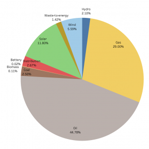 Figure 12: Chinese renewable energy engagement in the BRI in 2025 by source